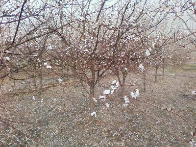 周末,踏青去作文