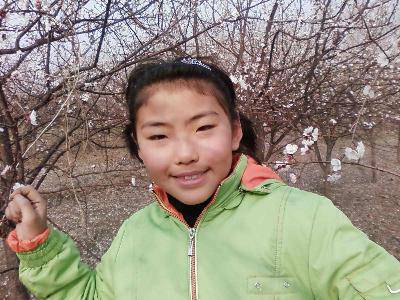 周末,踏青去作文