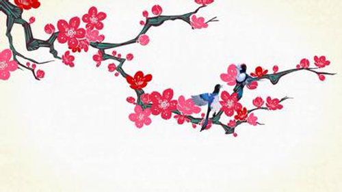 ʲôֲ㼪飿
