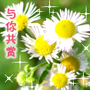 㹲