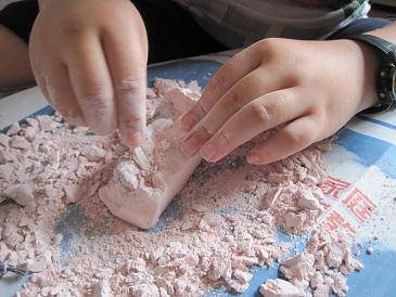 我做“考古家”作文