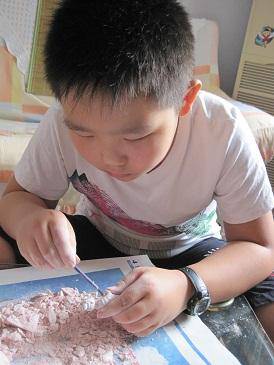 我做“考古家”作文