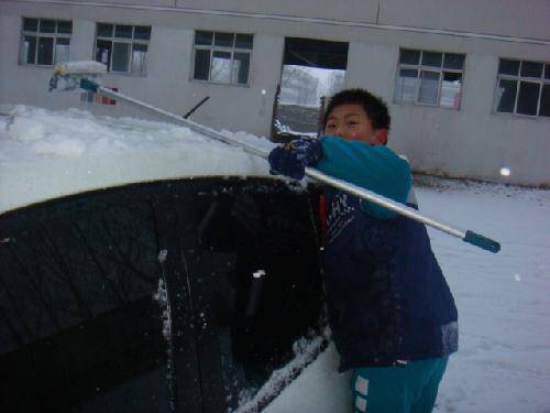 看,这一场大雪(附图片)作文