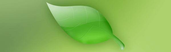 漂亮信纸 - sally.jack.ok - sally.jack.ok的博客 磁悬浮之屋作文