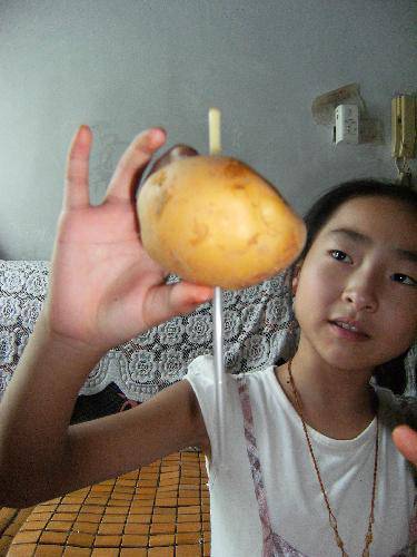 吸管穿透土豆——动手做实验作文