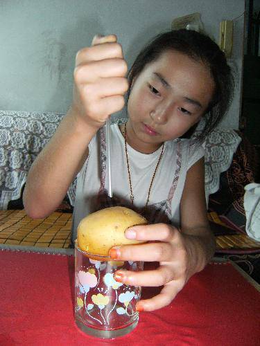 吸管穿透土豆——动手做实验作文