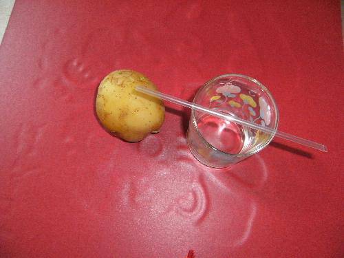 吸管穿透土豆——动手做实验作文