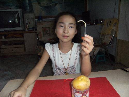 吸管穿透土豆——动手做实验作文