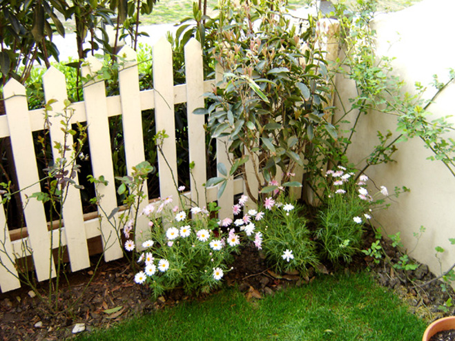 ��ů�ļ�---ʫ����