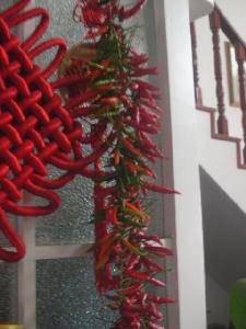 快乐的收获(附图)作文