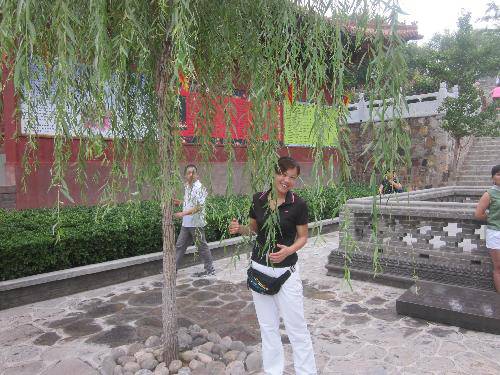 ��Ư�����Ŀ��֣�����Ƭ������