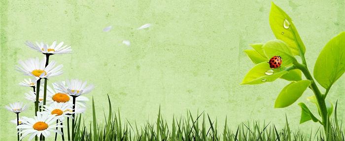 һ����ʵ�ļ��ڡ����ҵĺ����ܽ�����