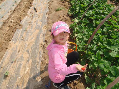 亲近自然 放飞心情作文