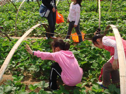 亲近自然 放飞心情作文