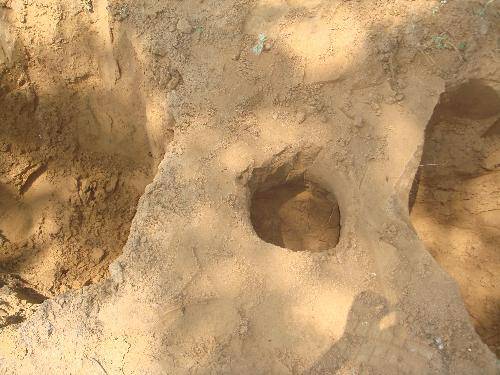 亲近自然 放飞心情作文