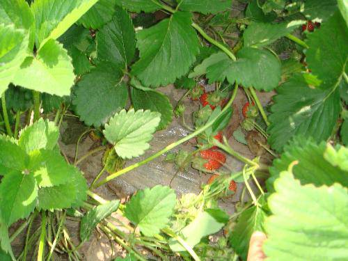 亲近自然 放飞心情作文