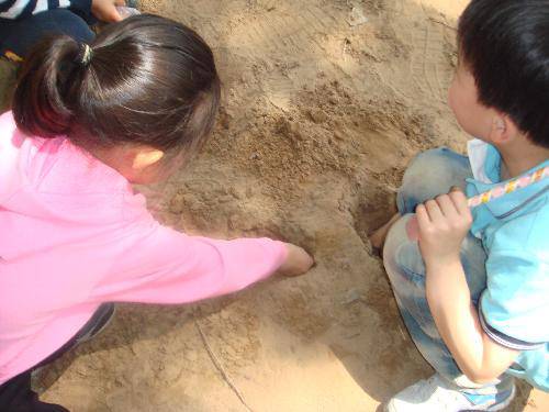 亲近自然 放飞心情作文