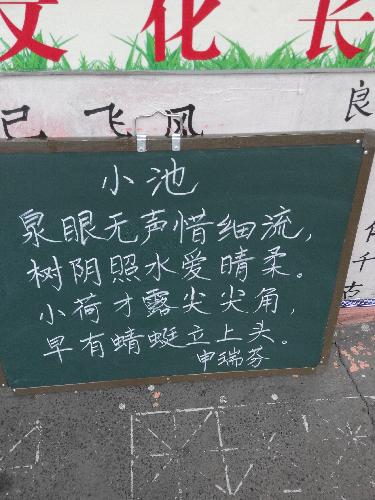 魅力二小之书法小展作文