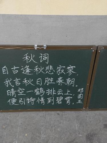 魅力二小之书法小展作文