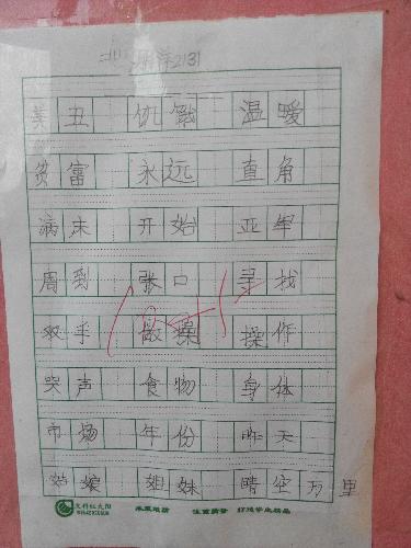 魅力二小之书法小展作文