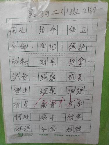 魅力二小之书法小展作文