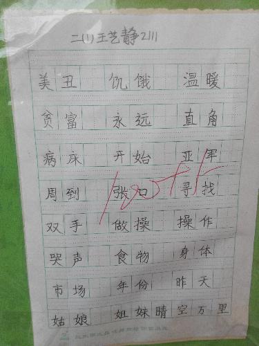 魅力二小之书法小展作文