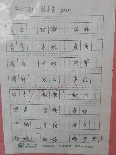 魅力二小之书法小展作文