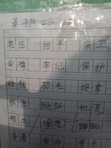 魅力二小之书法小展作文