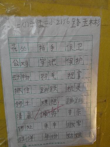 魅力二小之书法小展作文