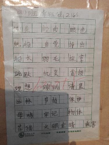 魅力二小之书法小展作文