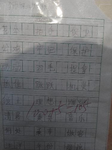 魅力二小之书法小展作文