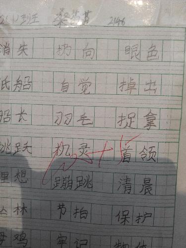 魅力二小之书法小展作文