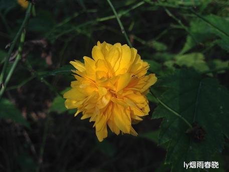 ֮ɫʰද