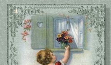 Main Image Top
