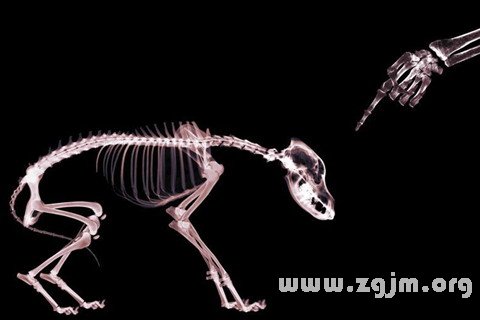 梦见斥责是什么意思