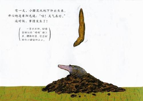 亲子共读:《是谁嗯嗯在我的头上》作文