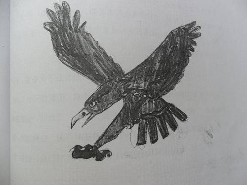 飞扬的思绪作文