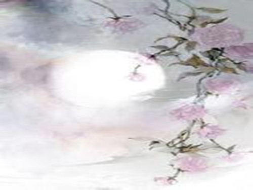 Ҹ㽲յĹ