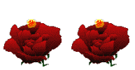 ʦ˵