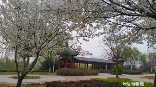 ƻ裬ӣ