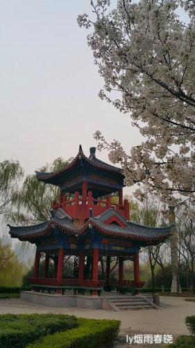 ƻ裬ӣ
