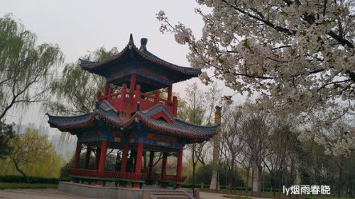 ƻ裬ӣ