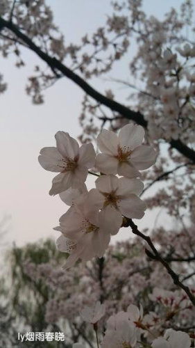 ƻ裬ӣ