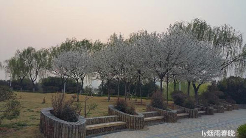 ƻ裬ӣ