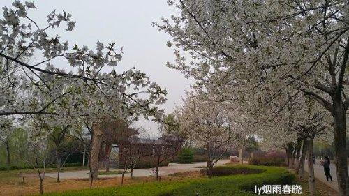 ƻ裬ӣ