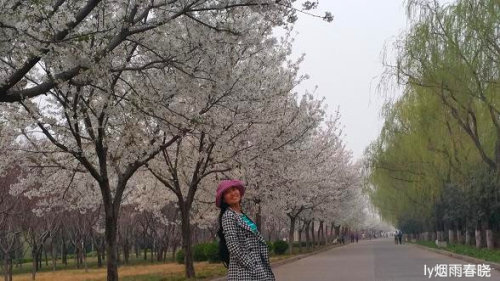 ƻ裬ӣ