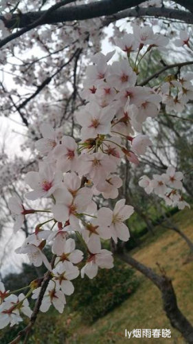 ƻ裬ӣ