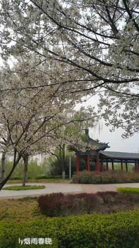 ƻ裬ӣ