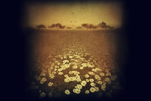 【毕淑敏】 读书使人优美 作文