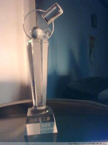 2013年最美女人花——阳光运动妈妈作文